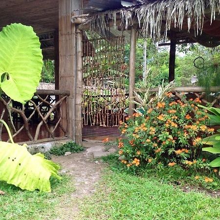 Hosteria Mindo Samay Juku Luaran gambar