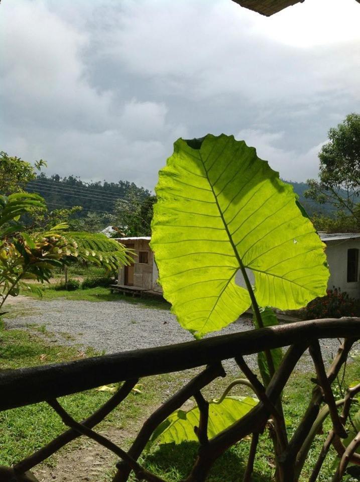 Hosteria Mindo Samay Juku Luaran gambar